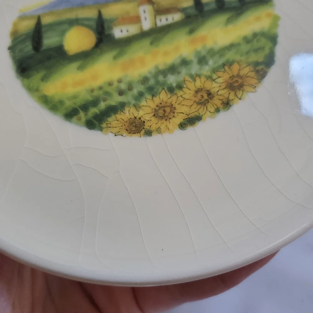 SUR LA TABLE Tuscan Countryside Appetizer Plates